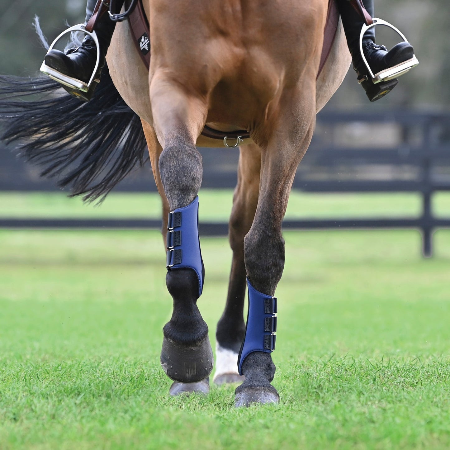 All-Purpose Galloping Boots
