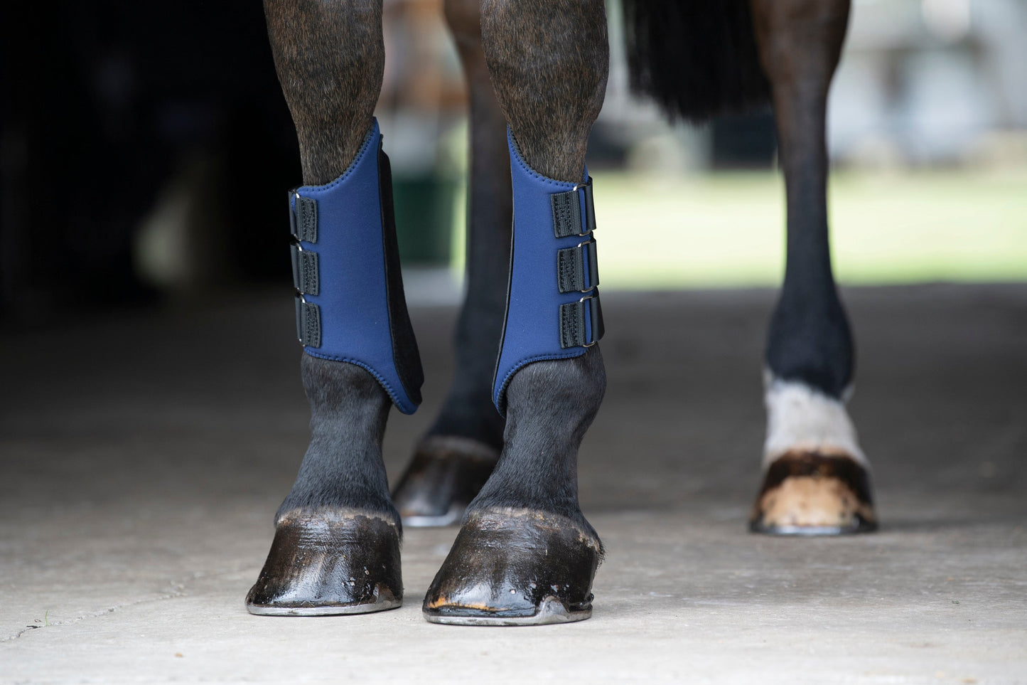 All-Purpose Galloping Boots