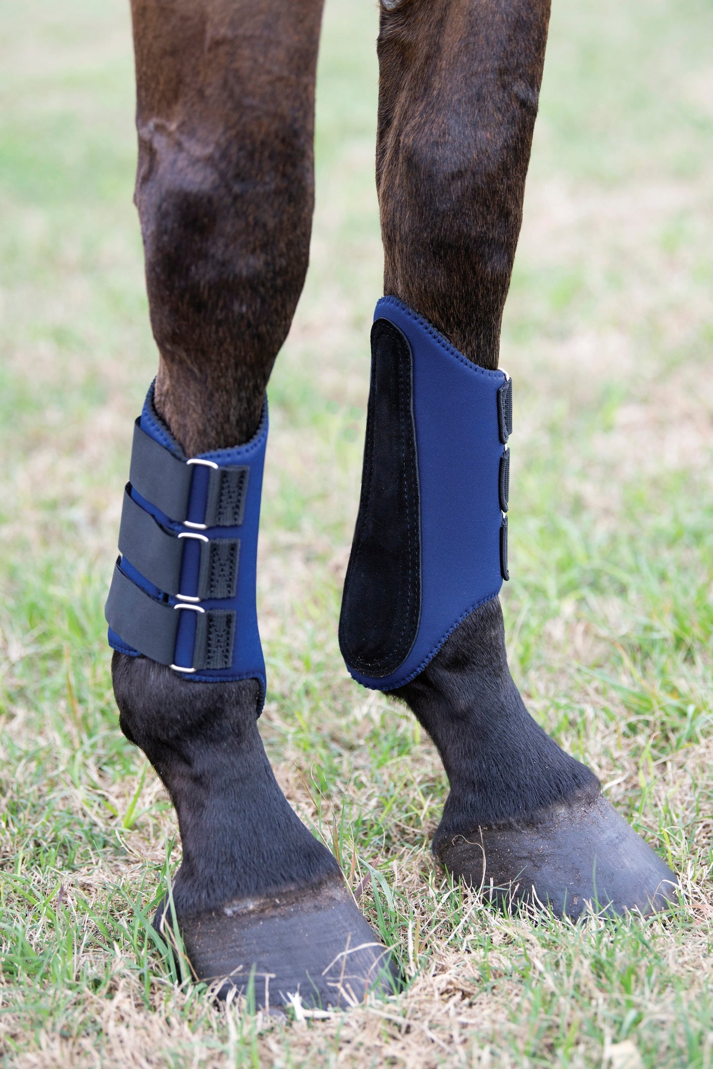 All-Purpose Galloping Boots