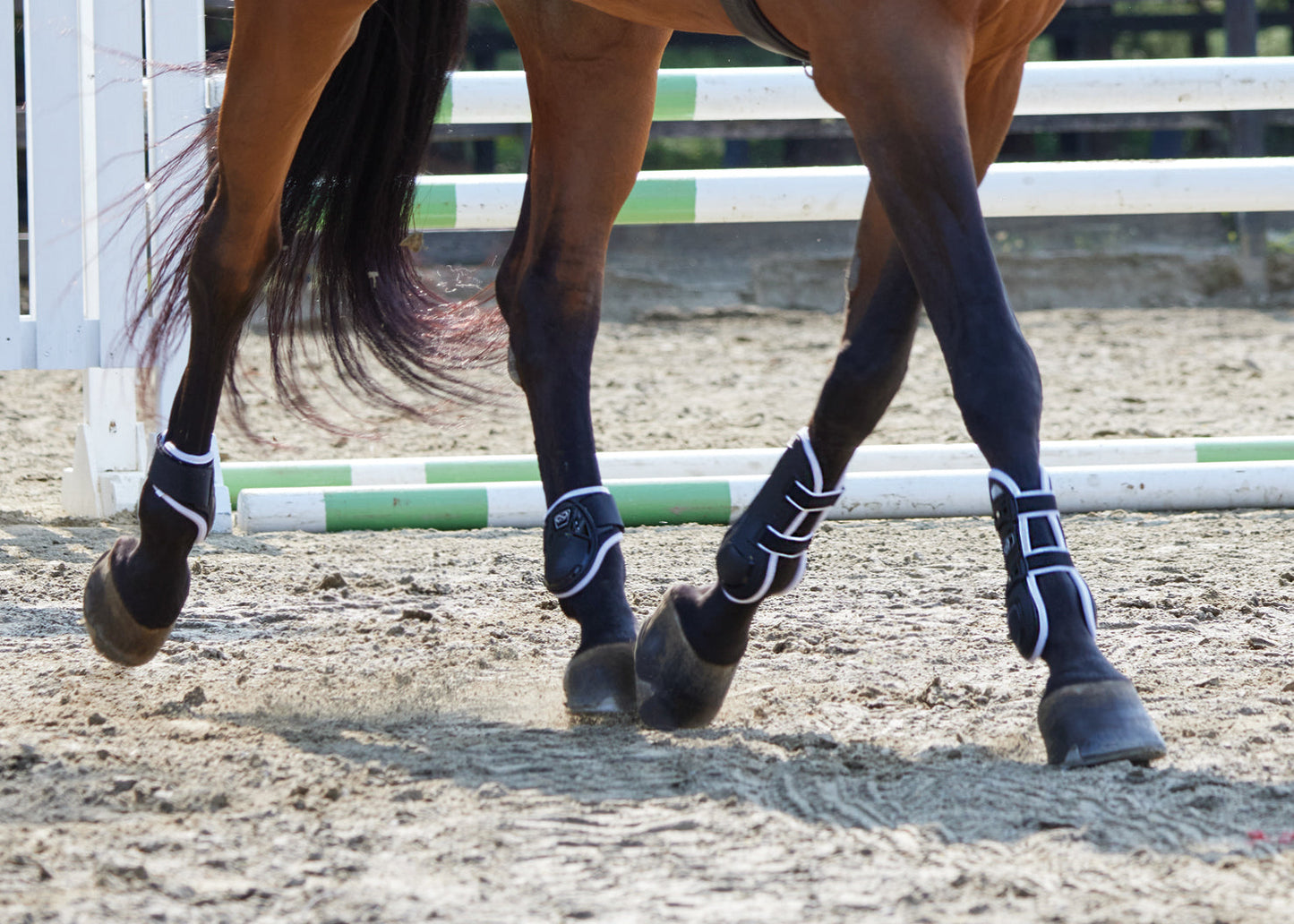 Open-Front Tendon Boots