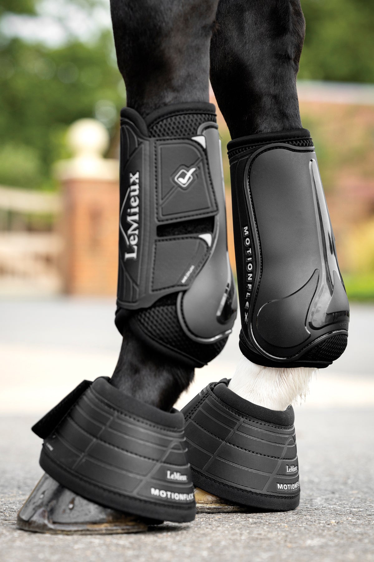 Motionflex Dressage Boots