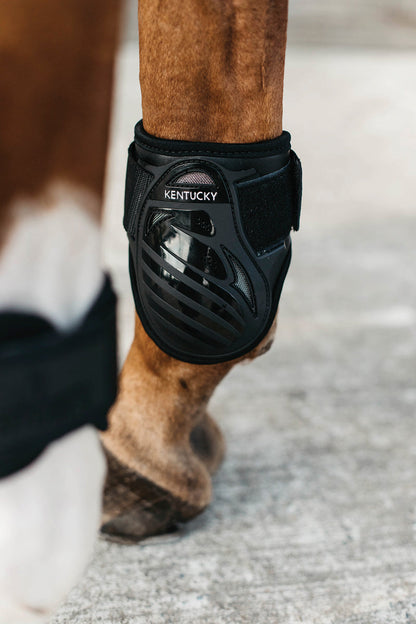 Young Horse Fetlock Boots