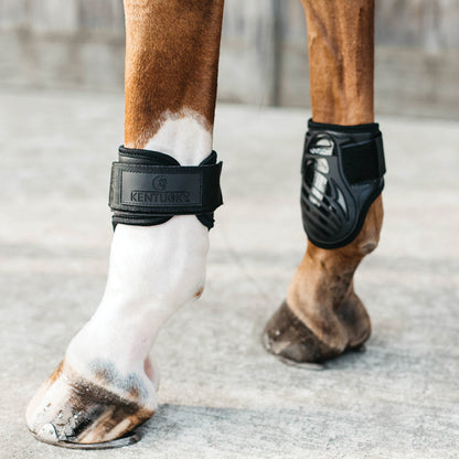 Young Horse Fetlock Boots