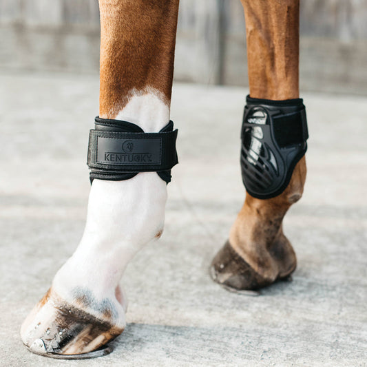 Young Horse Fetlock Boots