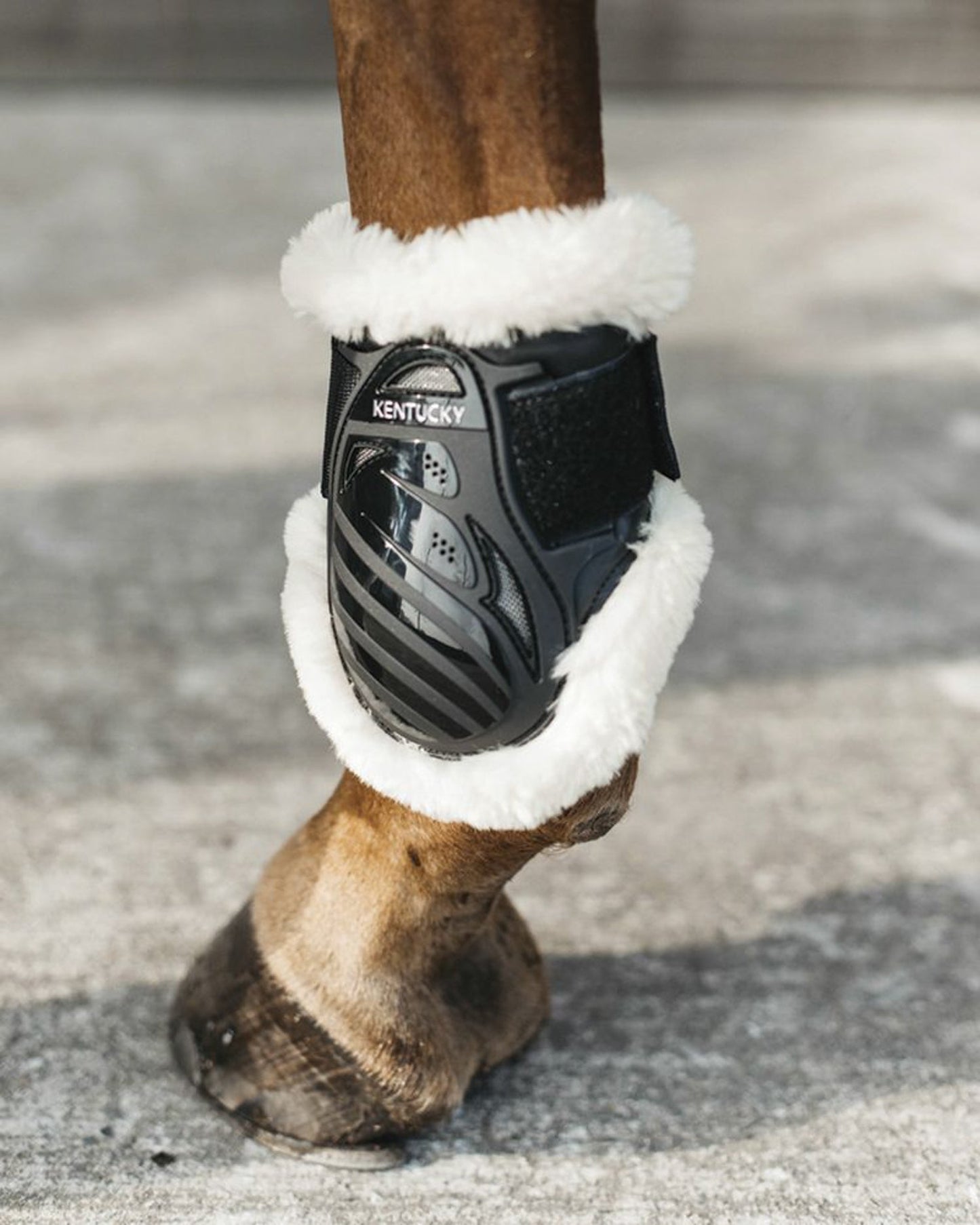 Vegan Sheepskin Young Horse Fetlock Boots