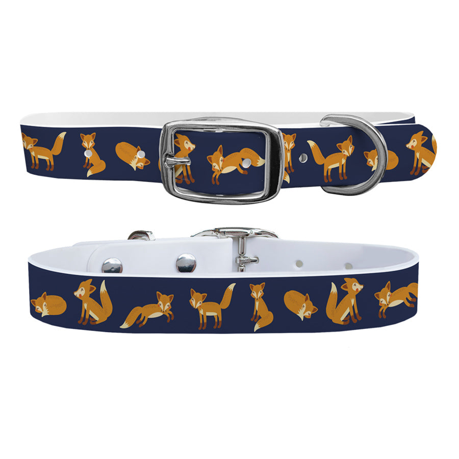 C4 Dog Collar