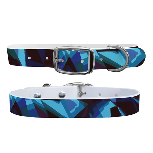 C4 Dog Collar