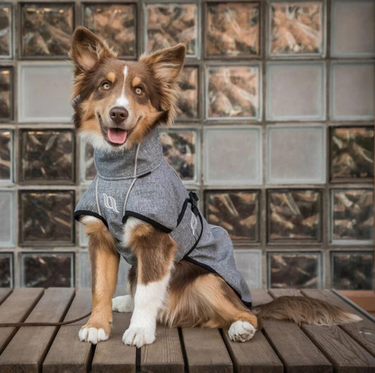 Nella Small Dog Coat
