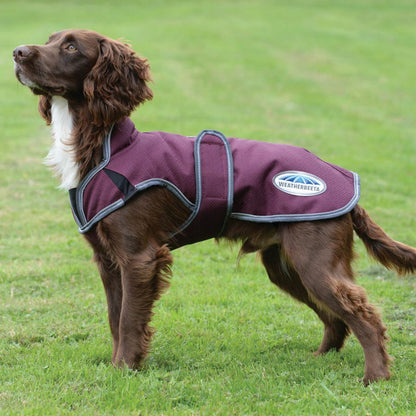 Premier Free Parka Deluxe Dog Coat
