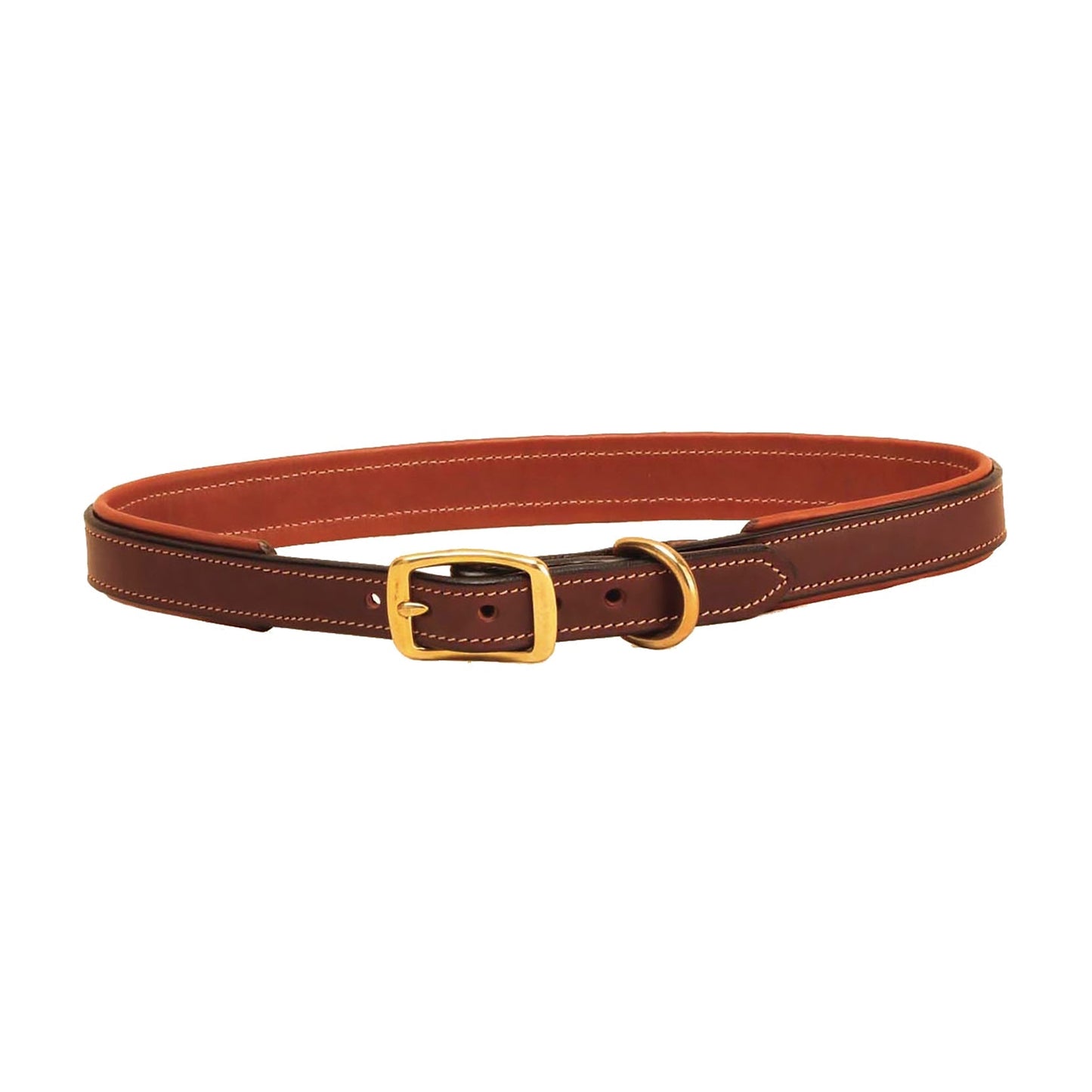 Padded Dog Collar