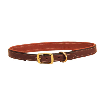 Padded Dog Collar