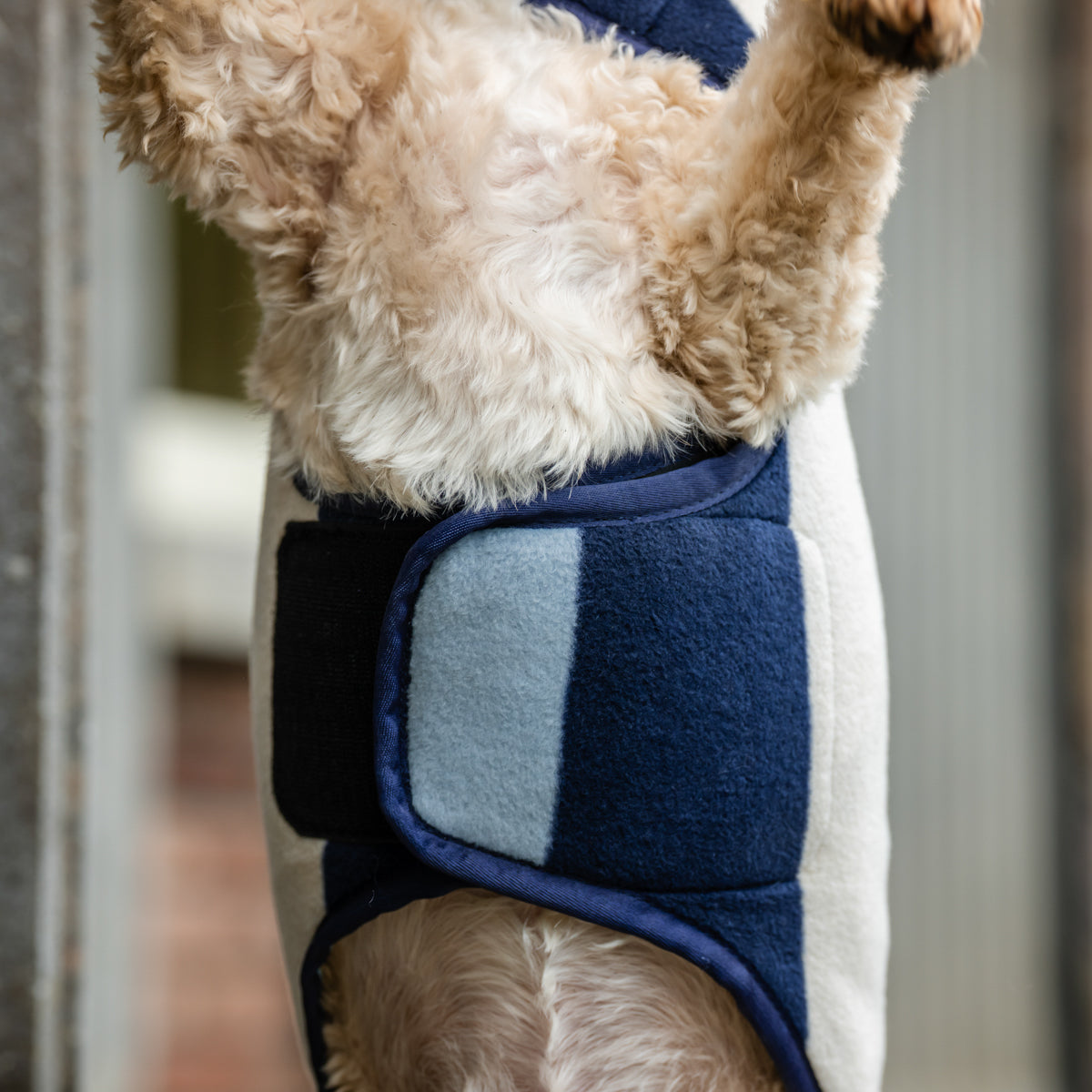 Ireland Newmarket Dog Fleece XXS-M