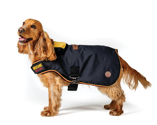 Ireland Newmarket Dog Coat XXS-M