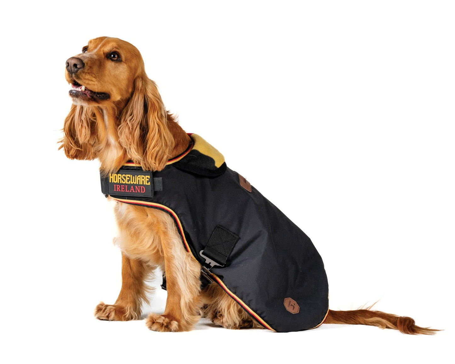 Ireland Newmarket Dog Coat L-XXXL