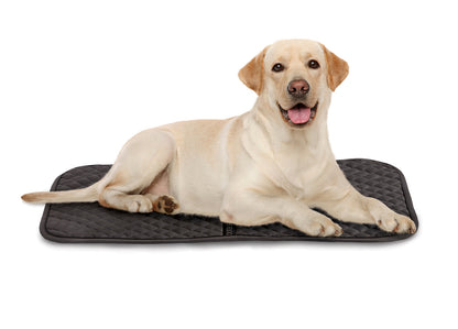 Saddle Pad Dog Mat