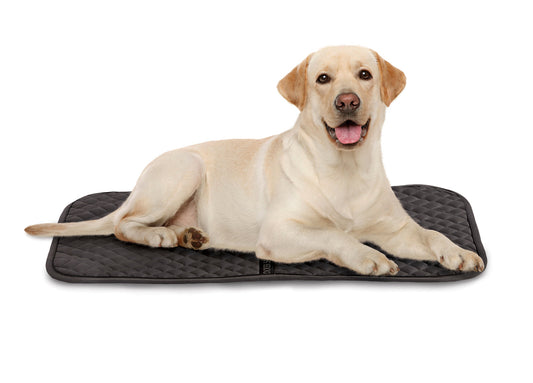 Saddle Pad Dog Mat