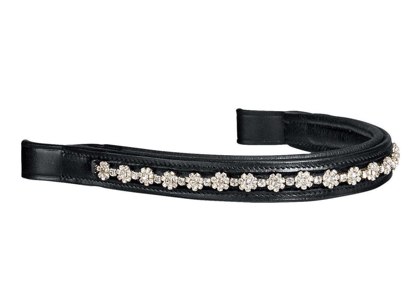 Colorful Browband