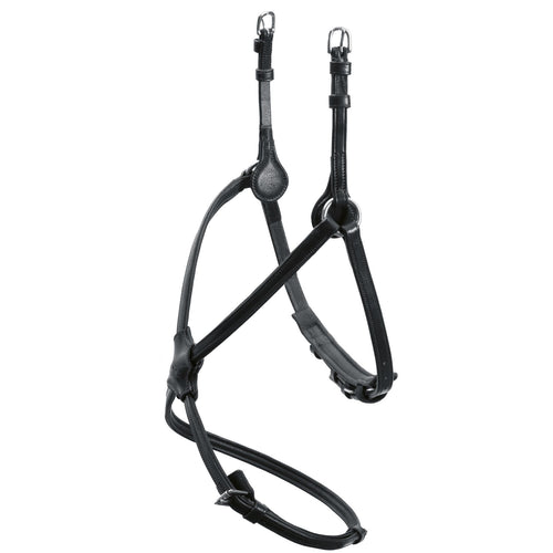 Rio Select Noseband