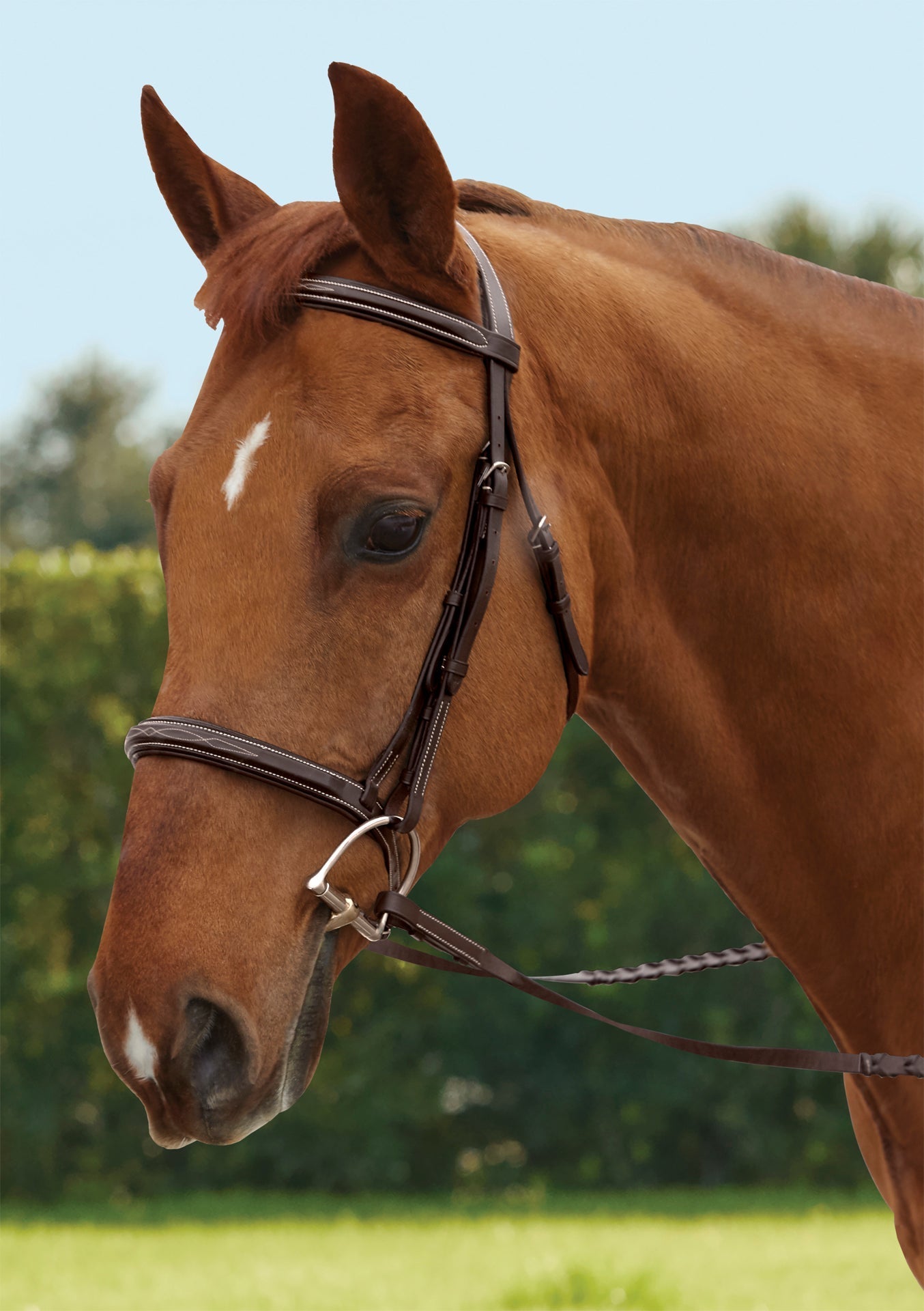 Fancy-Stitched Hunter Noseband