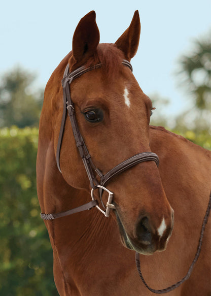 Fancy-Stitched Hunter Noseband