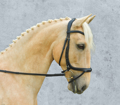 Equitus Alpha Bridle