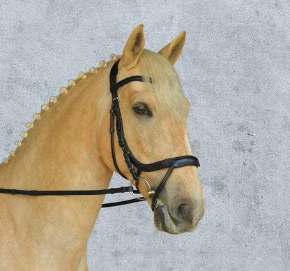 Equitus Alpha Bridle
