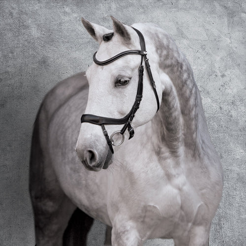 Equitus Alpha Bridle