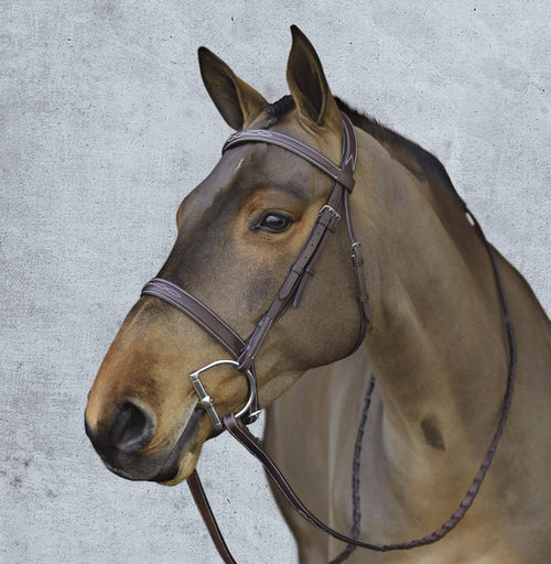 Pro Fancy-Stitched Wide Nose Bridle