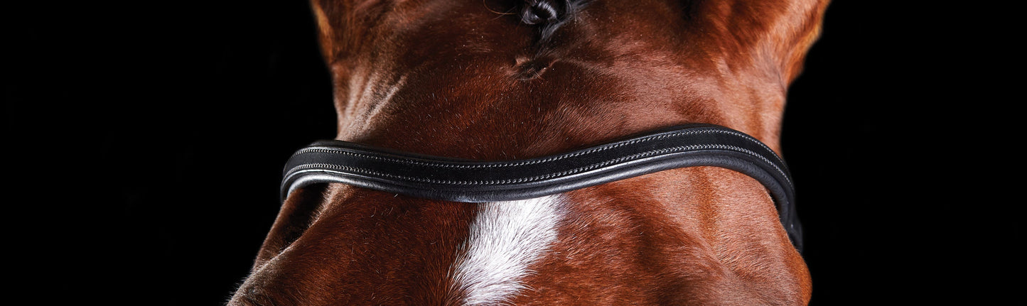Training Bridle