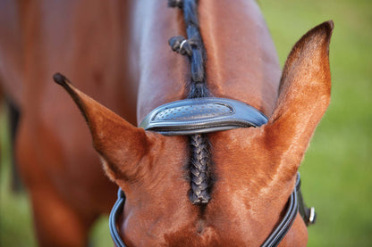 Training Bridle