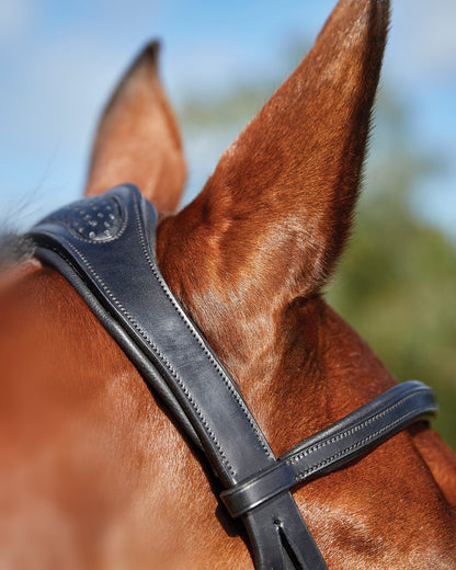 Training Bridle