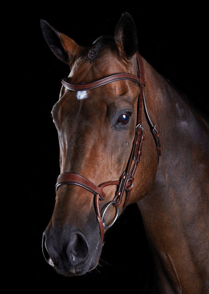 Training Bridle