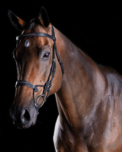 Fancy-Stitched Bridle