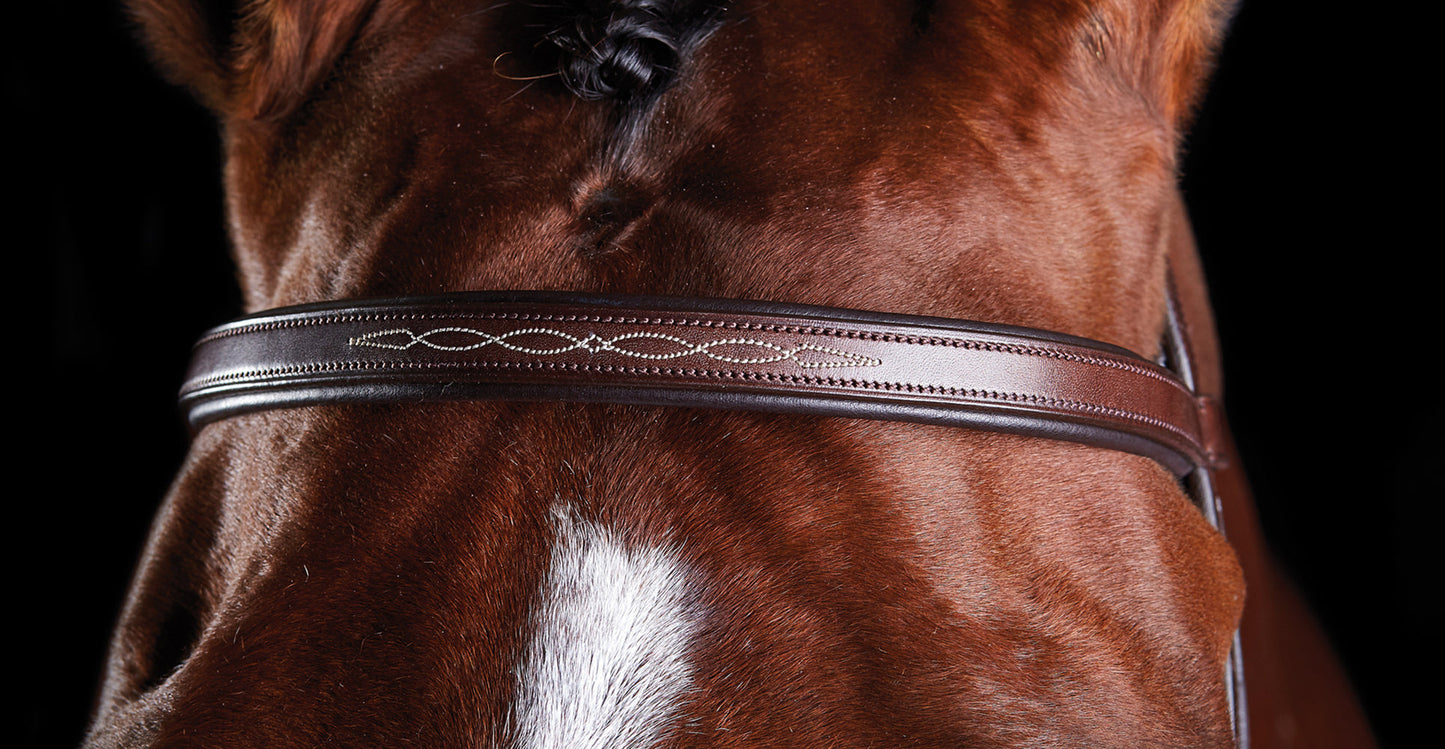 Fancy-Stitched Bridle