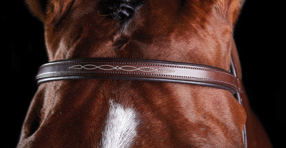 Fancy-Stitched Bridle