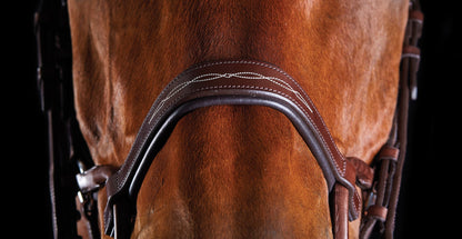 Fancy-Stitched Bridle