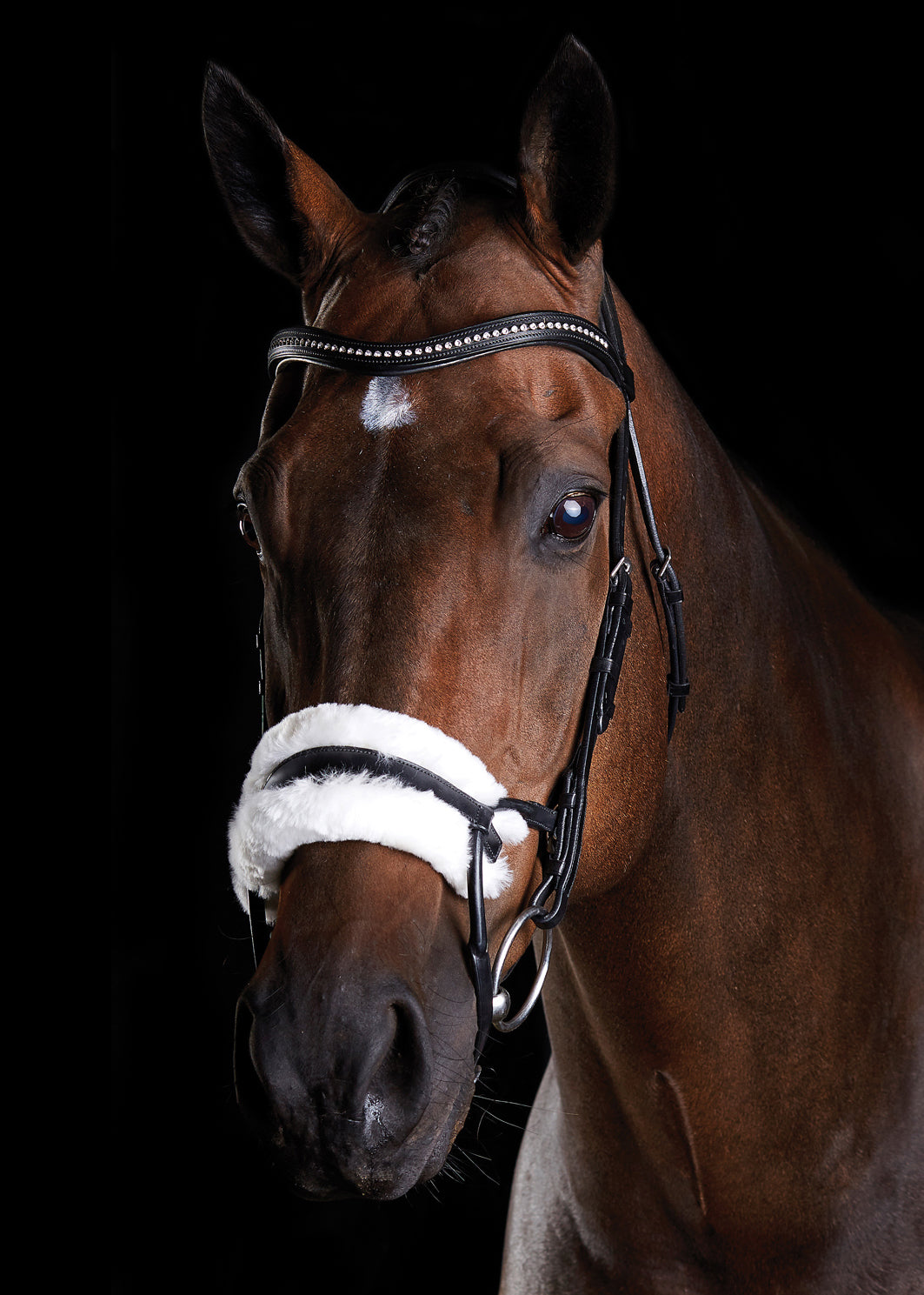 Sheepskin Bridle