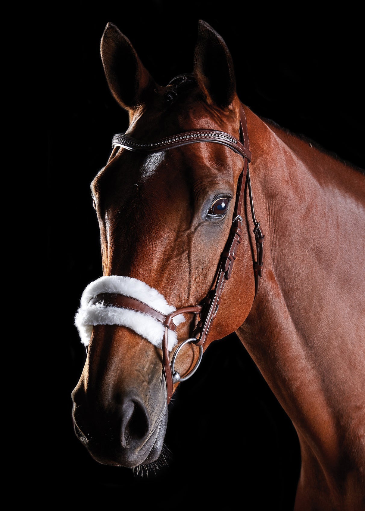 Sheepskin Bridle
