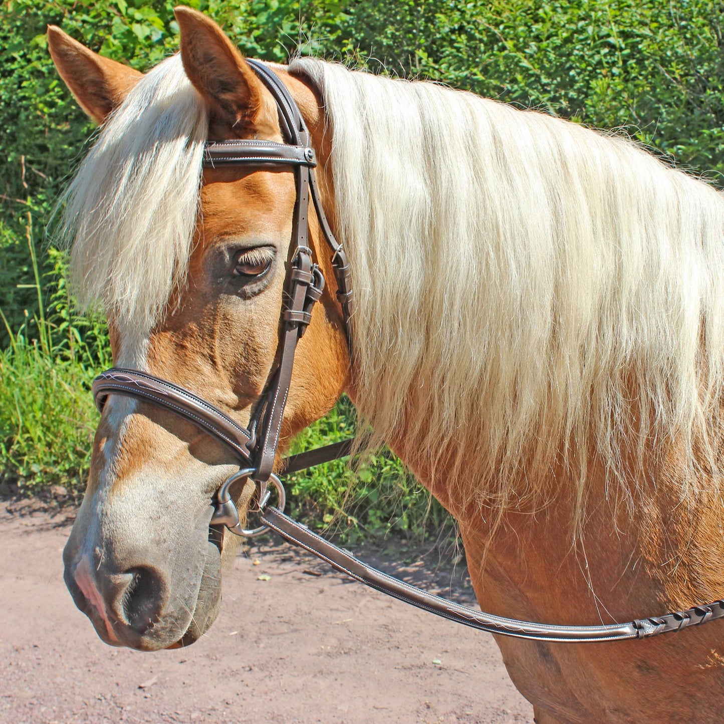Pro Fancy Raised Comfort Crown Padded Bridle with Fancy Raised Reins