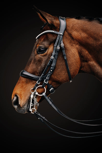 Equitus Gamma Double Bridle