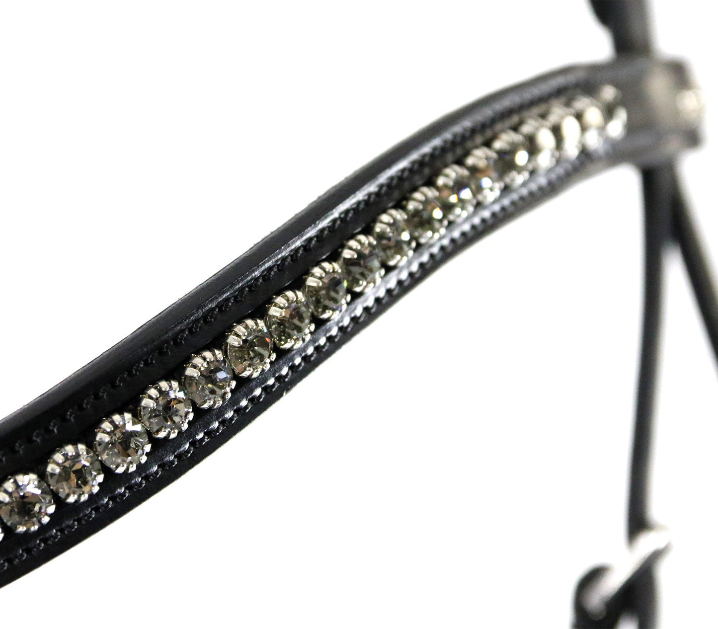 Equitus Beta Bridle