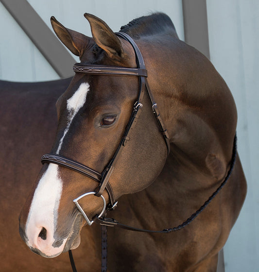 Fancy-Stitched Single Crown Bridle
