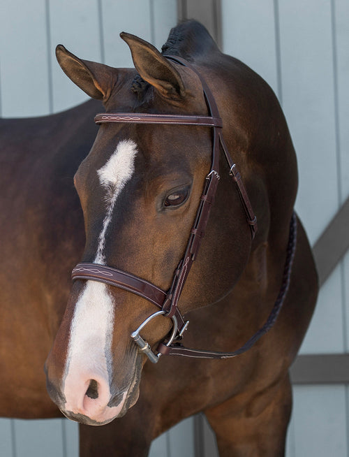 Classic Derby Bridle
