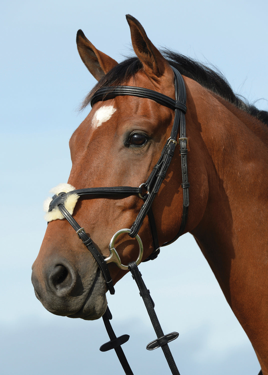 Syntovia+ Padded Raised Figure-8 Bridle