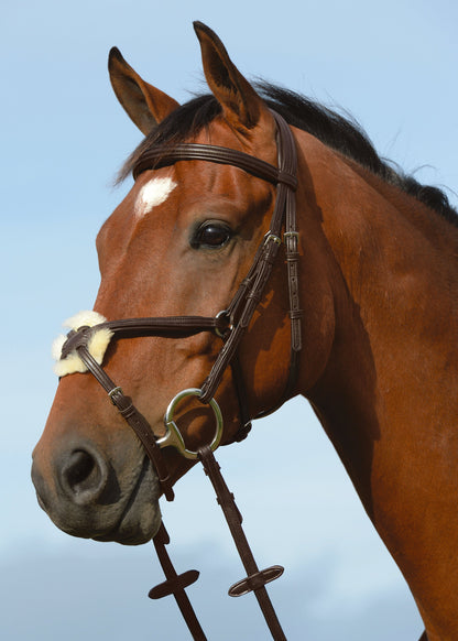 Syntovia+ Padded Raised Figure-8 Bridle