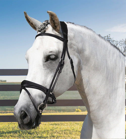 Maesta Bridle