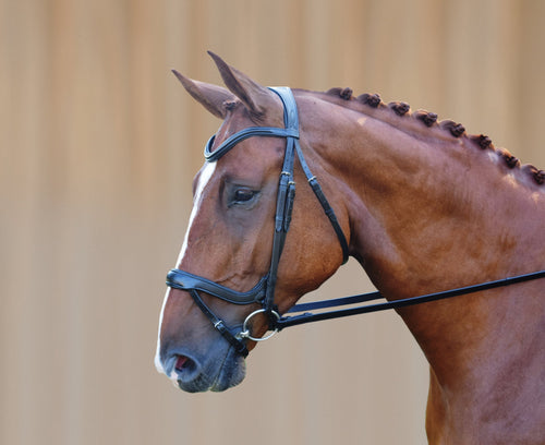 Arena Ergonomic Snaffle