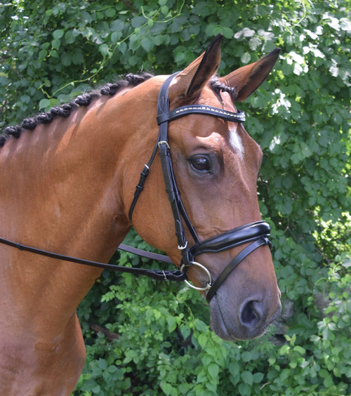 Topline Bridle