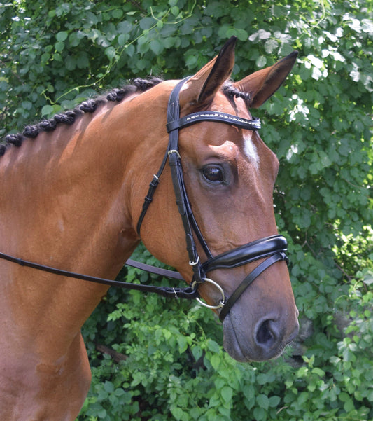 Topline Bridle