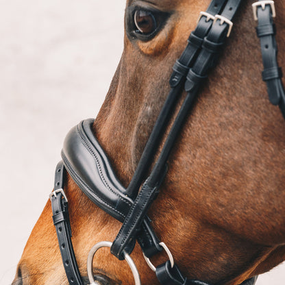 Malibu Bridle